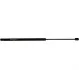 <strong>Амортизатор багажника Fiesta -02 (578/221mm 325N) JP GROUP 1581200600 (фото 1)</strong>