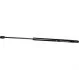 <strong>Амортизатор багажника Ford Focus I JP GROUP 1581202700 (фото 1)</strong>