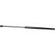 <strong>Амортизатор багажника FIESTA V 01-10 (625/253mm 575N) JP GROUP 1581203000 (фото 1)</strong>