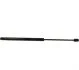 <strong>Амортизатор багажника Ford Focus I JP GROUP 1581205000 (фото 1)</strong>