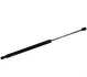 <strong>Амортизатор багажника Citroën C5 (RD/RW) JP GROUP 3181200600 (фото 1)</strong>