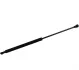 <strong>Амортизатор багажника Renault Clio III 05- JP GROUP 4381201600 (фото 1)</strong>