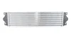 <strong>Інтеркулер Nissan Interstar, Opel Movano, Renault Master II KALE OTO RADYATOR Kale-oto-radyator 345000 (фото 1)</strong>