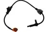 <strong>PARTS HONDA Датчик ABS задн.лів. Accord VII 03- KAVO BAS-2013 (фото 1)</strong>