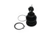 <strong>PARTS TOYOTA кульова опора Yaris 1.0 05-11, 1.8 07-11 KAVO SBJ-9034 (фото 2)</strong>