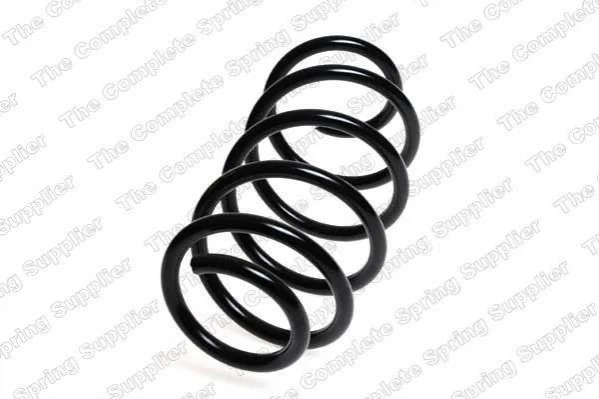 <strong>Пружина підвіски передня VW/SKODA Kilen 25067 (фото 1)</strong>