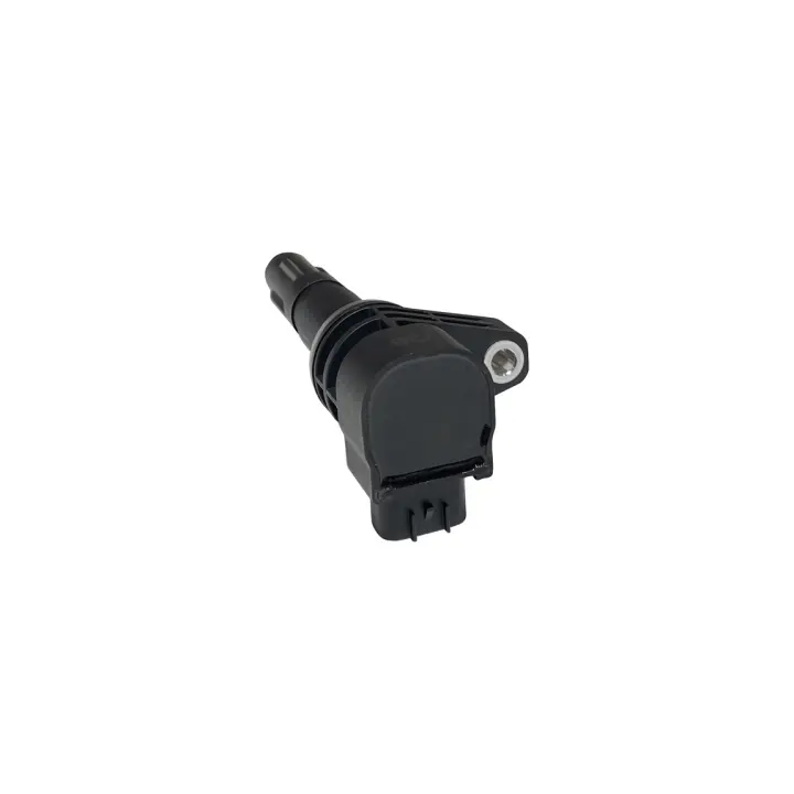 <strong>Катушка зажигания 1.5L BYD F3 BYD473QB Китай 10204809-00 (фото 1)</strong>