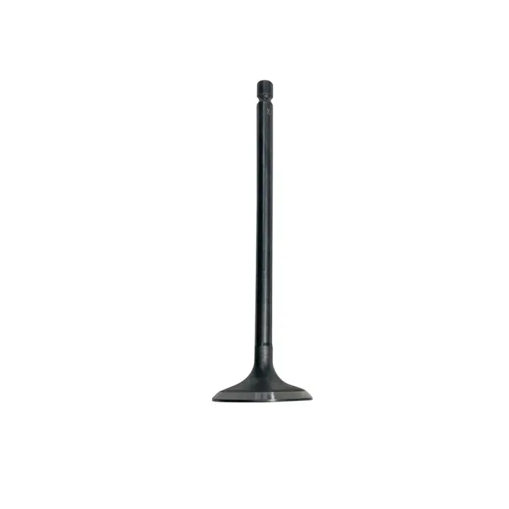 <strong>Клапан впускной 2.0L 2.4L T11 Китай SMD159502 (фото 1)</strong>