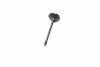 <strong>Клапан впускний IN FIAT/OPEL 194A1/939A5/939A6/Z22SE/Z22YH 35.2X6X102.2 (вир-во KS) KOLBENSCHMIDT 291109 (фото 2)</strong>