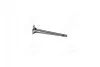 <strong>Клапан выпуск. Audi A4/A5/A6/A7/A8/Q5/Q7 / VW Touareg 2.7-6.0 TDI 03-> KOLBENSCHMIDT 331134 (фото 1)</strong>