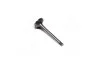 <strong>Клапан впускний IN AUDI/VW 1.9D/2.4D 1Y/AAS/AAB/AGP 36X8X95.6 (вир-во KS) KOLBENSCHMIDT 39123 (фото 1)</strong>