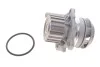 <strong>Водяний насос Caddy II/Golf IV/Octavia 1.9SDI/TDI 95-06 (19z) KOLBENSCHMIDT 50005132 (фото 1)</strong>
