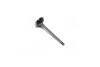 <strong>Клапан впуск. Kangoo 1.5dCi 01- (к-кт 4 шт.) KOLBENSCHMIDT 539018 (фото 1)</strong>