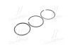 <strong>Комплект поршневих кілець FORD 2,5D 93,67 STD KOLBENSCHMIDT 800009810000 (фото 1)</strong>