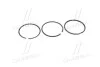 <strong>Комплект поршневих кілець FORD 2,5D 93,67 STD KOLBENSCHMIDT 800009810000 (фото 3)</strong>