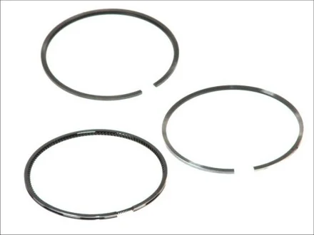 Кільця поршневі OM364/366 98mm +0.5 для KOLBENSCHMIDT 800019212050 фото товару