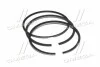 <strong>Комплект поршневих кілець KOLBENSCHMIDT 800044610050 (фото 1)</strong>