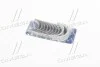<strong>Вкладиші корінні 0,25 VW T3 1.6/1.7 D/TD 81-> KOLBENSCHMIDT 87 722 610 (фото 3)</strong>