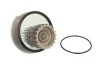 <strong>Насос охолоджуючої рідини, з ущільненням DAEWOO ESPERO, LANOS, NEXIA 1.5/1.6 10.93- KOREA D10003D (фото 2)</strong>