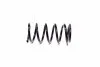 <strong>Пружини підвіски KYB RA6496 (фото 1)</strong>