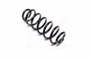 <strong>Пружини підвіски KYB RA7102 (фото 4)</strong>