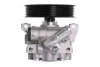 <strong>Насос гідропідсилювача керма (новий) FORD TOURNEO CONNECT, TRANSIT CONNECT 1.8D 06.02-12.13 LAUBER 55.1162 (фото 3)</strong>