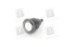 <strong>Опора кульова LEMFORDER 10519 03 (фото 3)</strong>