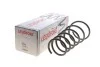 <strong>Пружини підвіски LESJOFORS 4026146 (фото 1)</strong>