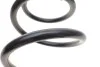 <strong>Пружина підвіски передня HYUNDAI LESJOFORS 4037272 (фото 2)</strong>