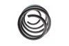 <strong>Пружина підвіски LESJOFORS 4044265 (фото 5)</strong>