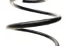 <strong>Пружина підвіски передня MAZDA LESJOFORS 4055471 (фото 2)</strong>