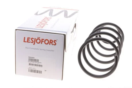 Пружини підвіски для Nissan LESJOFORS 4062032 фото товару