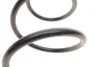 <strong>Пружина підвіски передня NISSAN LESJOFORS 4062076 (фото 3)</strong>