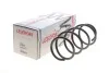 <strong>Пружина підвіски передня RENAULT LESJOFORS 4072953 (фото 1)</strong>