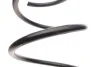 <strong>Пружина підвіски передня RENAULT LESJOFORS 4072954 (фото 2)</strong>