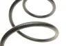 <strong>Пружини підвіски LESJOFORS 4072958 (фото 2)</strong>