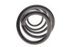 <strong>Пружина Lesjofors LESJOFORS 4095113 (фото 5)</strong>
