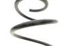 <strong>Пружина підвіски LESJOFORS 4095164 (фото 3)</strong>