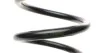 <strong>Пружина підвіски задня SKODA/VW LESJOFORS 4285729 (фото 2)</strong>