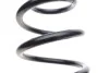 <strong>Пружина підвіски задня VW/SKODA LESJOFORS 4285734 (фото 2)</strong>