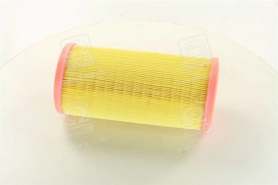 <strong>Фільтр повітряний RENAULT (вир-во M-Filter) M-FILTER A109 (фото 1)</strong>