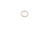 <strong>Кільце ущільнююче (O-ring) MAGNETI MARELLI 007950024400 (фото 3)</strong>
