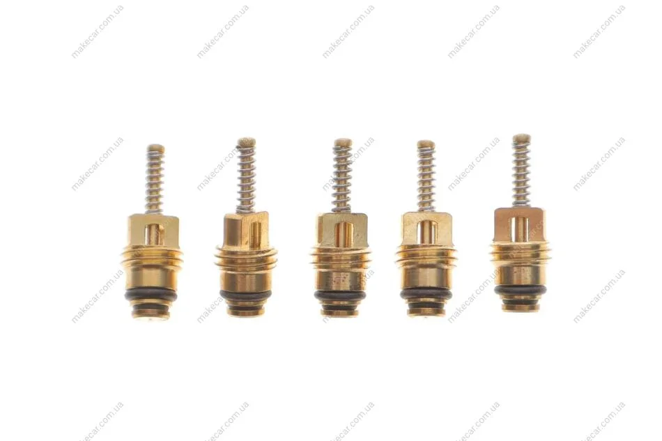 <strong>Набір зворотних клапанів MAGNETI MARELLI 007950024470 (фото 1)</strong>