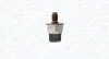 <strong>Елемент системи Common Rail MAGNETI MARELLI 215810015500 (фото 1)</strong>