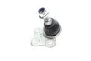 <strong>Кульова опора (шарнір) MAGNETI MARELLI 301191619560 (фото 2)</strong>