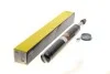 <strong>Амортизатор MAGNETI MARELLI 351891070000 (фото 1)</strong>
