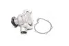 <strong>Водяний насос (Вир-во Magneti Marelli кор.код. WPQ0039) MAGNETI MARELLI 352316170039 (фото 1)</strong>
