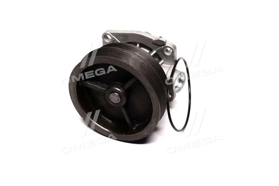 <strong>Водяний насос MAGNETI MARELLI 352316170303 (фото 1)</strong>