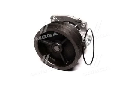 Водяний насос для MAGNETI MARELLI 352316170303 фото товару