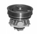 Купити Помпа воды PUNTO,TEMPRA 1.4,1.6 92- без корпуса MAGNETI MARELLI 352316170322 за низькою ціною в Україні (фото 1)